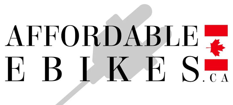 Why Choose Affordableebikes.ca for all your E-bike needs. - evcustom