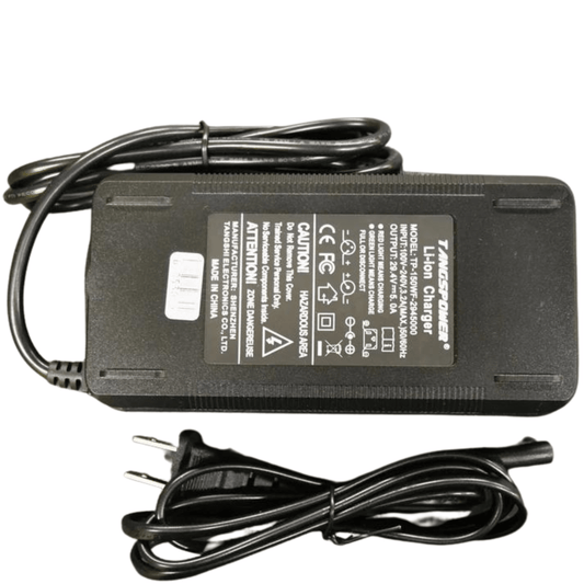 24V (7s) Lithium - Ion Charger - 5 Amp - evcustom