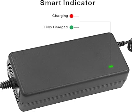 24V Battery Charger for Razor MX350, MX400, E100, E200, E300, Dirt Quad ATV, Pocket Mod, Crazy Cart, Go Kart & Electric Scooters - evcustom