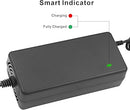 24V Battery Charger for Razor MX350, MX400, E100, E200, E300, Dirt Quad ATV, Pocket Mod, Crazy Cart, Go Kart & Electric Scooters - evcustom