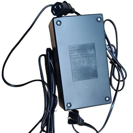 60V 3A Lithium Charger – PC Plug Fast Charging - evcustom