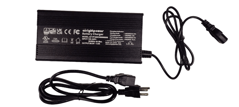 BBX Charger 60V 5.0a – Boomerbuggy X Battery Charger - evcustom