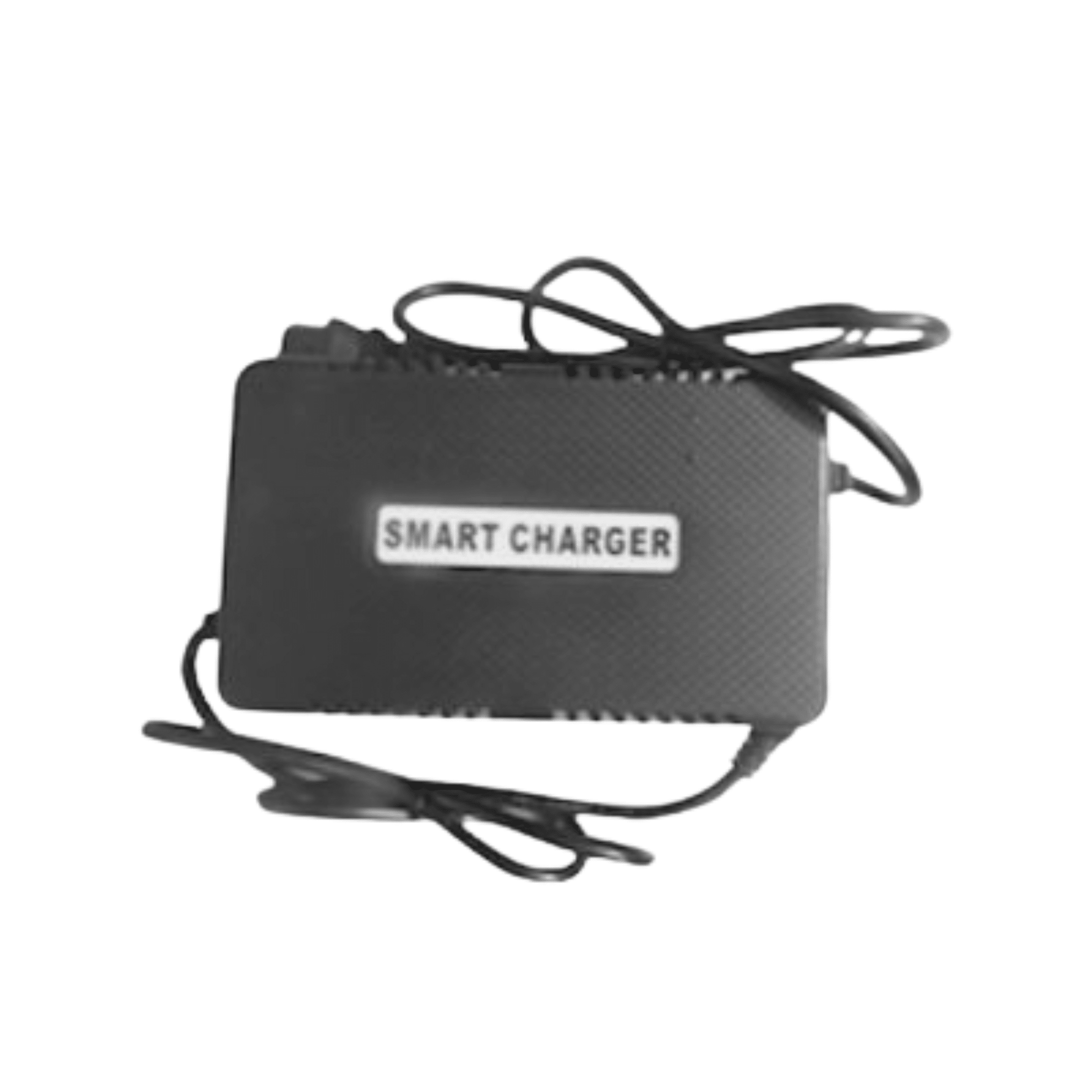 Charger 84 Volt Lead Acid Battery Universal (3 Amp) - evcustom