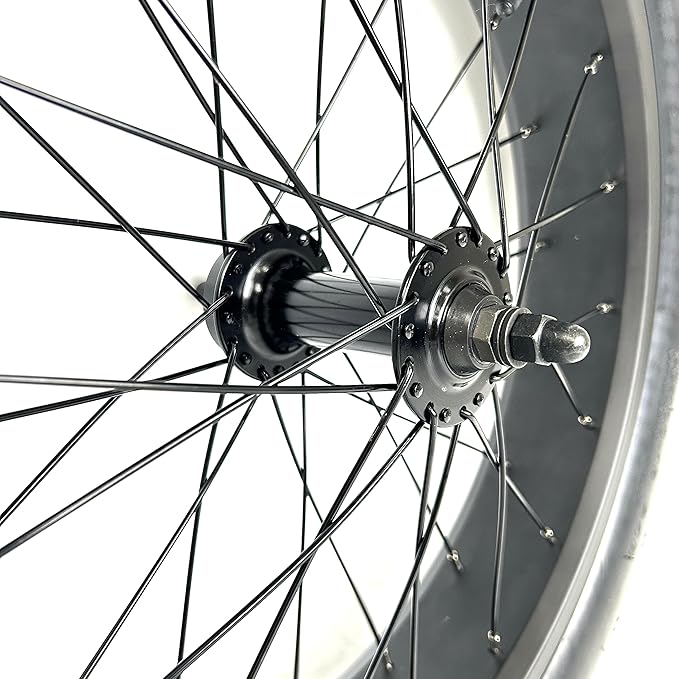 Fat Bike Front Wheel 20''x4.0 Assembly - evcustom
