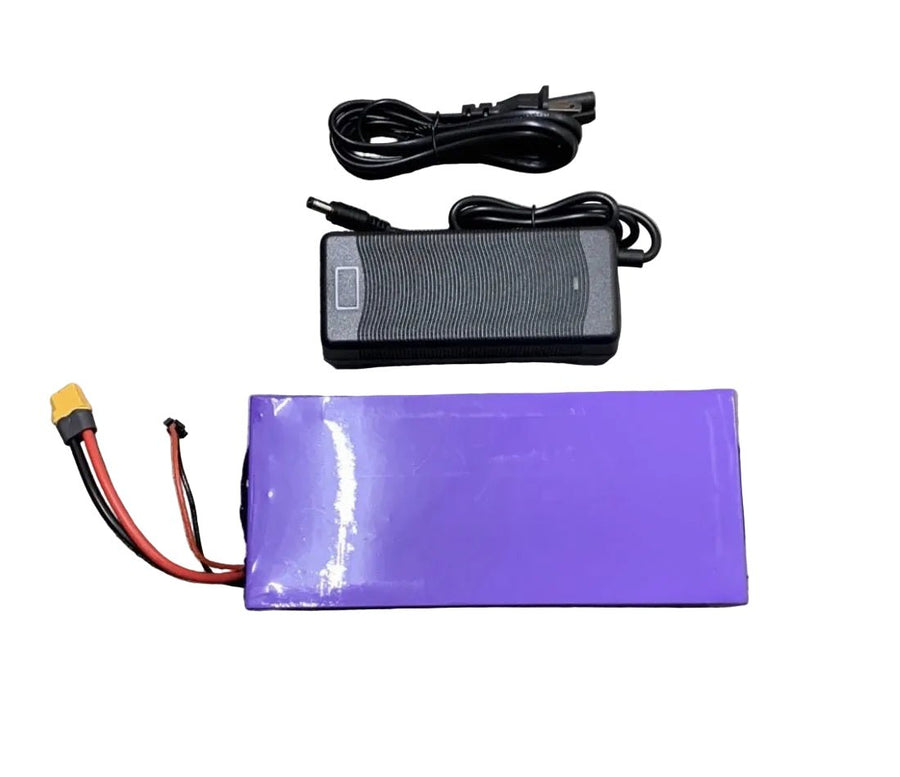 Jetson Bolt Battery Replacement Upgraded Pack - evcustom