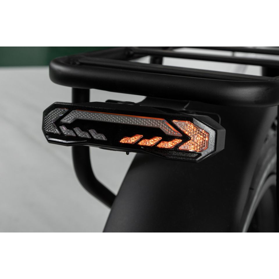 LINQ Electric Folding E - bike! Lightweight and portable. - evcustom