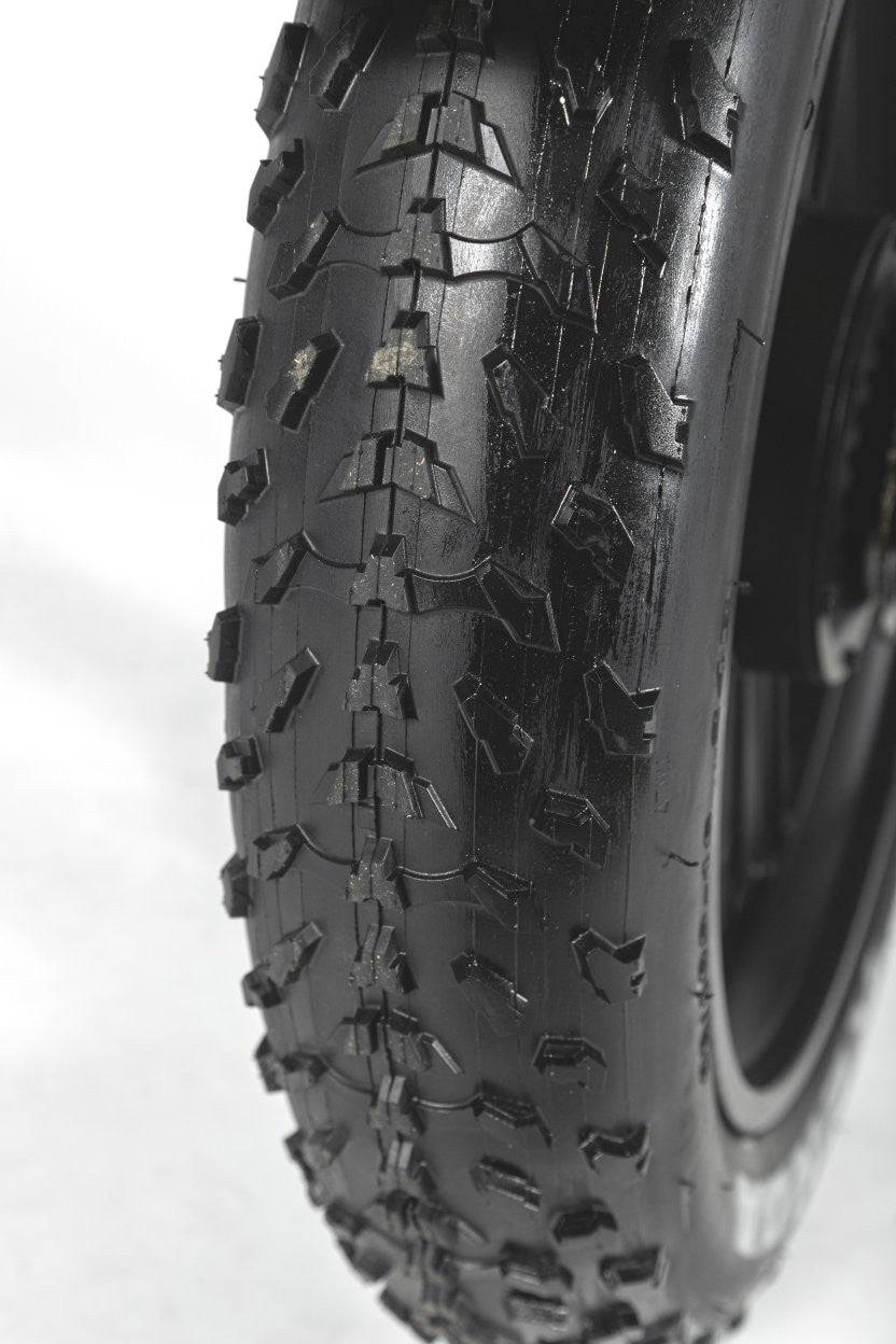 Touring E - bike fat tire E - bike - evcustom